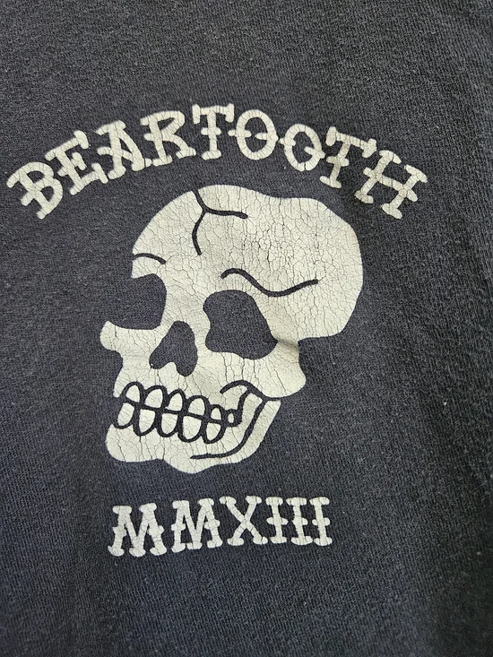 Beartooth Cotton Band Tee - Picture 3 of 6